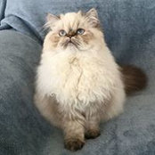 Steven Keating's photo