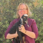 Helen Wecker's photo