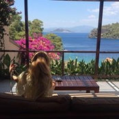 Foto de Anna Shiyan
