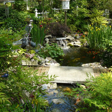 back garden