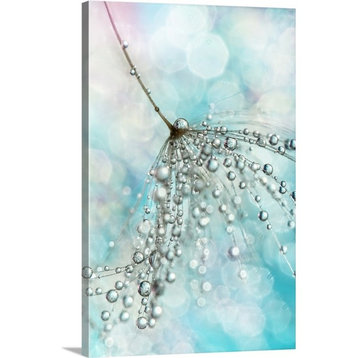 "Shower Sparkles" Wrapped Canvas Art Print, 16"x24"x1.5"