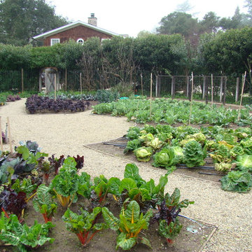 Vegetable gardens