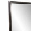 Yorkville Brushed Titanium Dressing Mirror, Traditional, Metal, 18 X 60