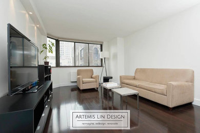 Living room - contemporary living room idea in New York