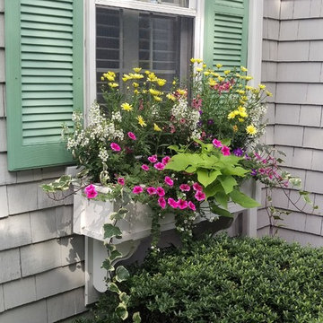 Eel River Rd. Roses and Window Boxes
