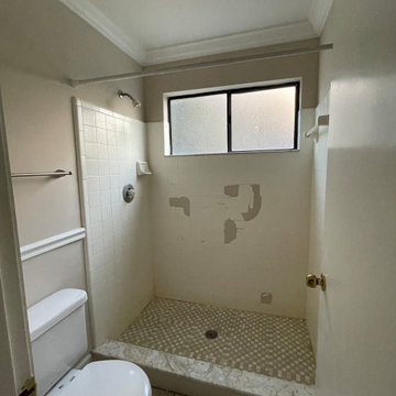Bathroom renovation