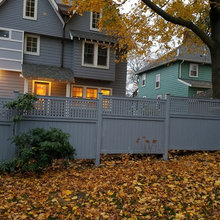 Favorite Backyard