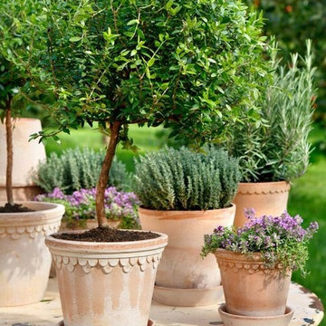 Gorgeous | Summer | Gardens