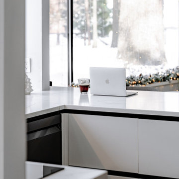 Swedish-Style Kitchen in Michigan