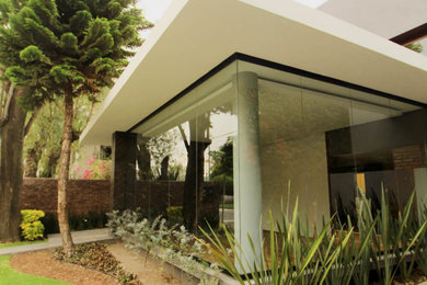 Trendy exterior home photo in Mexico City