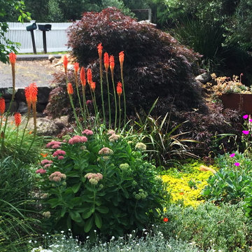 Drought 2016 gardens