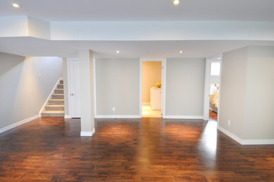 Transitional basement photo in Toronto