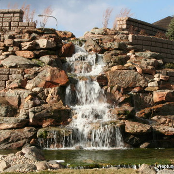 Koi Ponds and Water Gardens