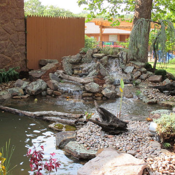 Oklahoma City Zoo - Endangered Turtle Habitat
