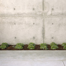 phibs garden