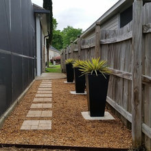 Side Yard