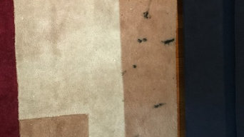 Area rug cleaning & stain removal