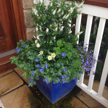 Container Gardens