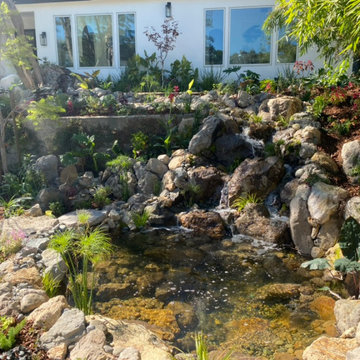 Encino Pond, Pondless Waterfall & Landscape Project