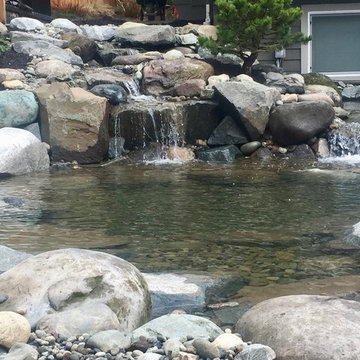 Waterfall and Koi Pond