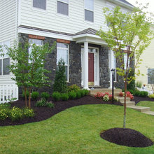 Flower Beds