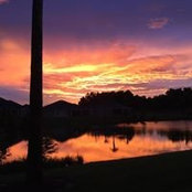 Judith Buchanan's photo