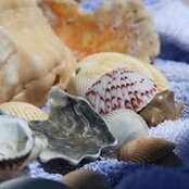 Suzanne Brockner's photo