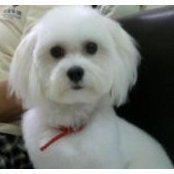Catherine Kong's photo