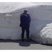 Klaus Zimmermann's photo