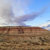 Alicia Mullaley's photo
