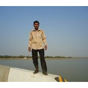 Ly Kruochs foto