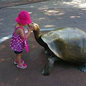 Angela Lenz's photo