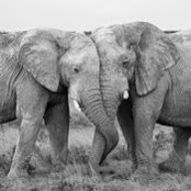 Josephine Aulbach's photo