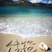 Nancy Galgano's photo