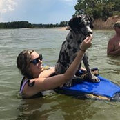 Cortney Stout's photo