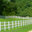 Milestone Fencing