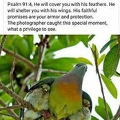 Lesley Khayadi's photo
