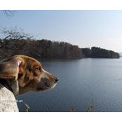 Jon Morse's photo