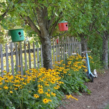 Rudbekia