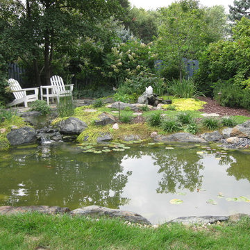 Koi Ponds and Water Gardens