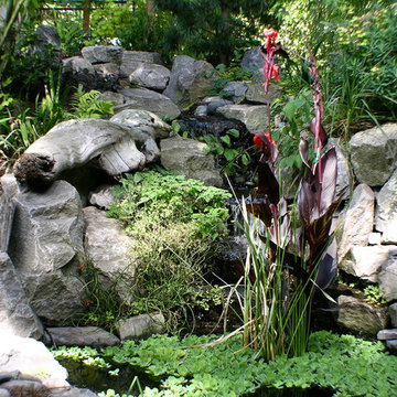 Water Features