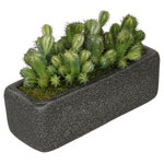 House of Silk Flowers, Inc. - Artificial Thimble Cactus Garden in Black Sandy-Texture Rectangle - You will never have to worry about caring for your succulents again with this artificial cactus garden handcrafted by House of Silk Flowers. This arrangement features a grouping of artificial cactus "potted" in a sandy-texture ceramic vase measuring 11" wide x 4" deep x 4.25" tall. The cactus have been arranged for 360*-viewing. The overall dimensions are measured leaf tip to leaf tip, from the bottom of the planter to the tallest leaf tip: 11" wide X 5.5" deep X 7" tall. Measurements are approximate, and will be determined by your final shaping of the plant upon unpacking it. No arranging is necessary, only minor shaping, with the way in which we package and ship our products. This product is only recommended for indoor use.