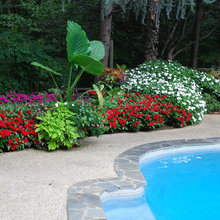 pool garden landscape