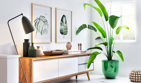 Svar: Kan du dina svenska designklassiker?
