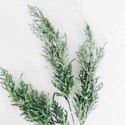 Sparkly pine stems - Christmas Decorations