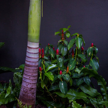 Secluded Tropical Courtyard