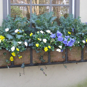Fall Flowers