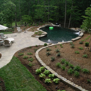 Chapel Hill pool, landscape