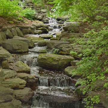 Woodland Stream