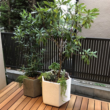 武蔵野市 日よけパーゴラと中庭デッキ、誘引フェンス